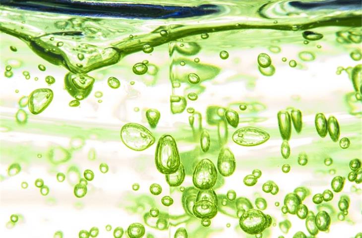 sea glass green color