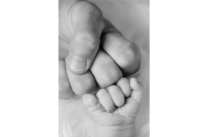 plank road family care
