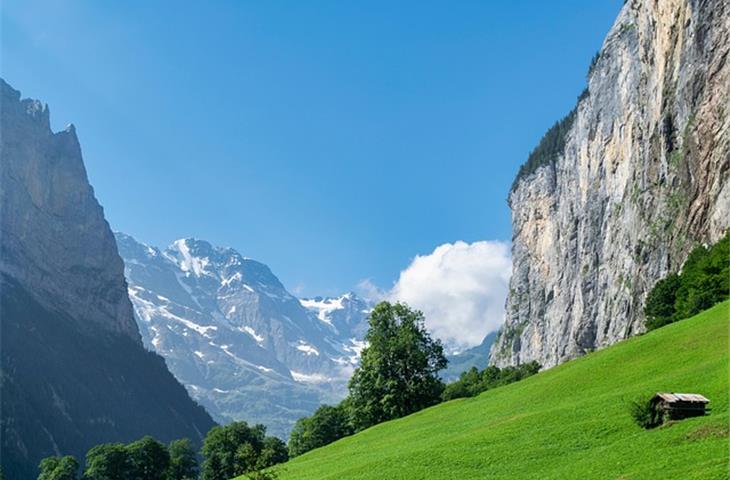 watches of switzerland american dream