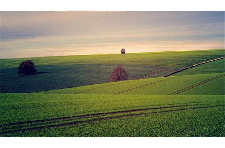 patented land