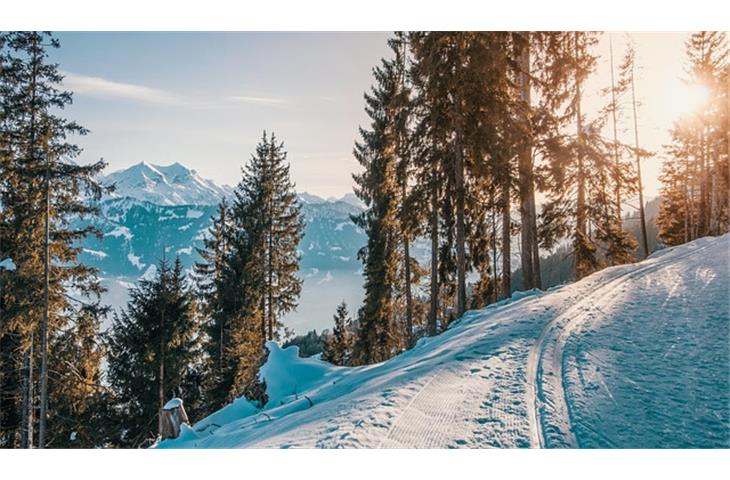 camelback ski trail map